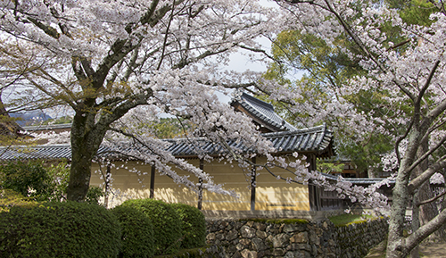 大覚寺.jpg