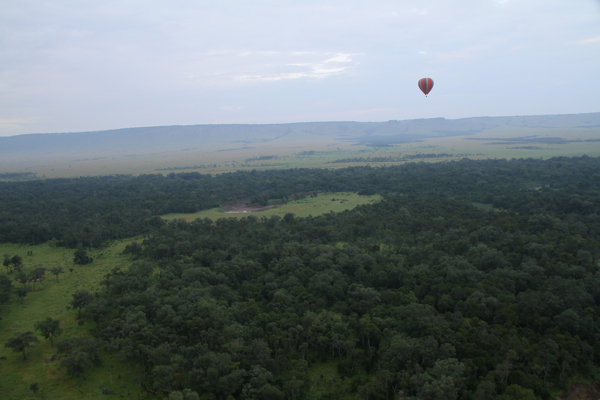 baloonn.jpg