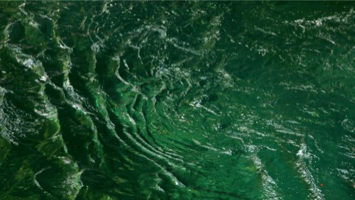 egreen water.jpg
